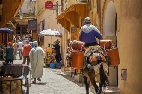 Excursión de un día a Tánger Marruecos desde Cádiz Todo incluido